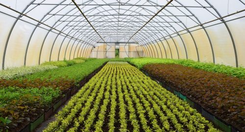 Precision Flow Solutions Horticulture